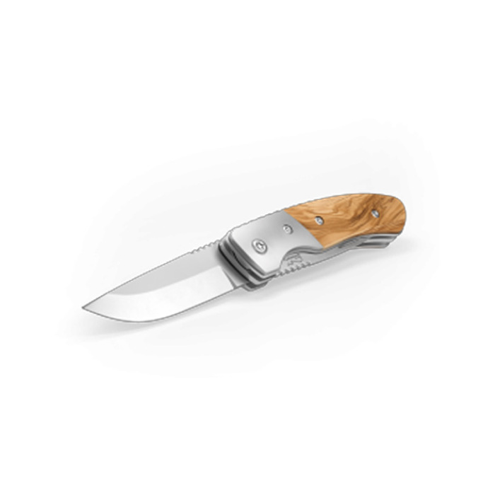Richartz® Picknickmesser "LEO picknick olive"
