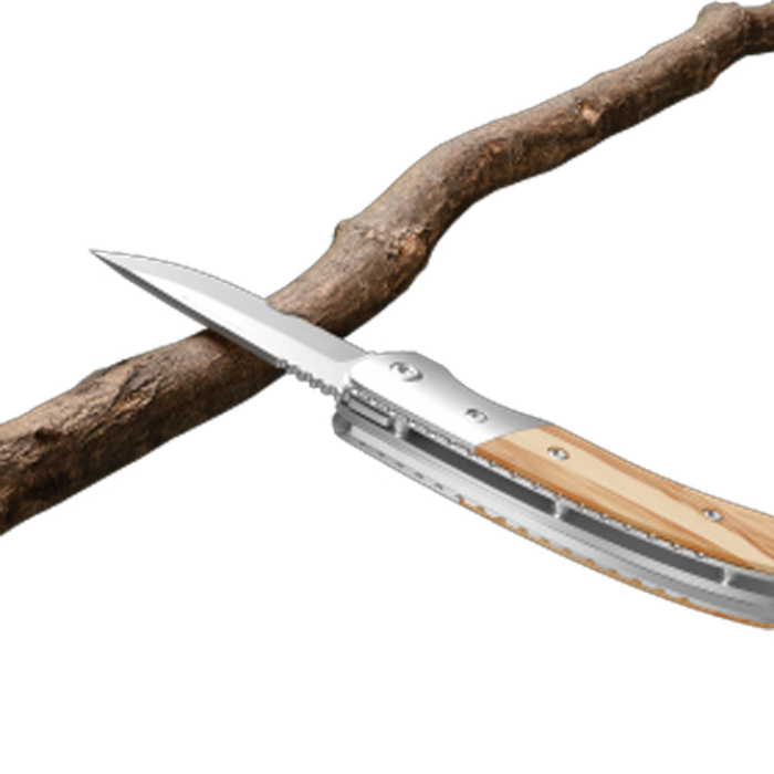 Richartz® Picknickmesser "LEO picknick olive"