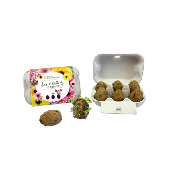 Seed Eggs im Eierkarton