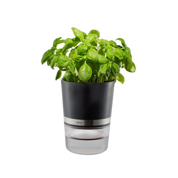 GEFU® Kräutertopf BOTANICO