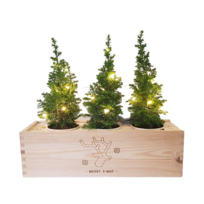 Bloom Box Schuelbe Promotion Service GmbH Werbeartikel, Werbemittel