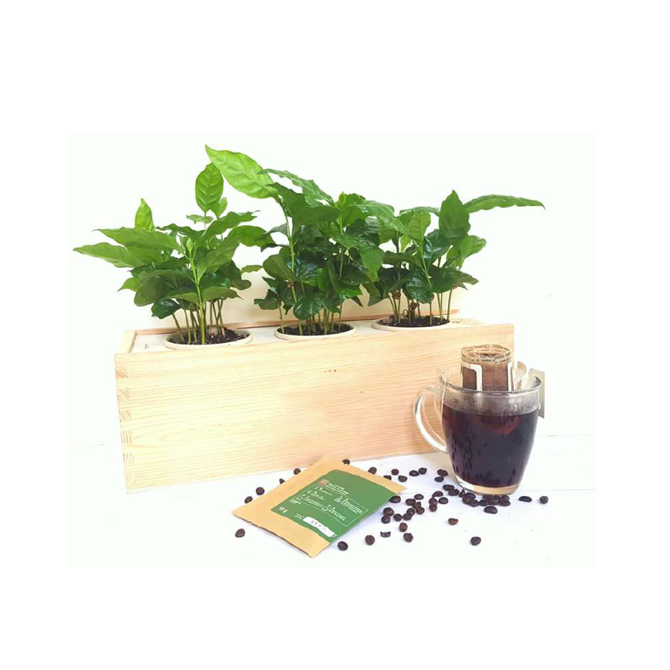 Bloom Box Schuelbe Promotion Service GmbH Werbeartikel, Werbemittel