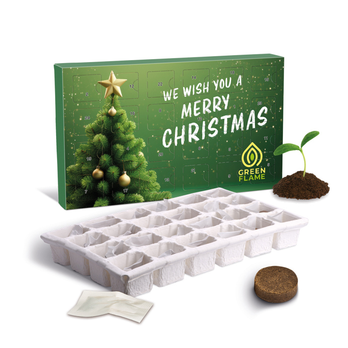 Wachsender Adventskalender "Eco L"