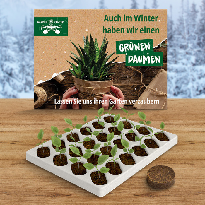 Wachsender Adventskalender Eco XL