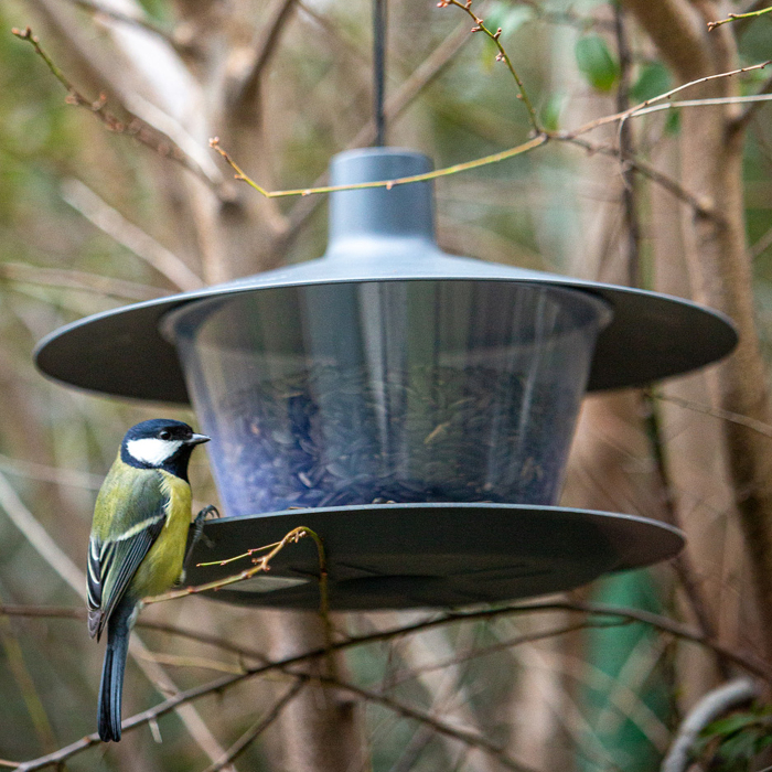 Futterhäuschen "BIRDIE"