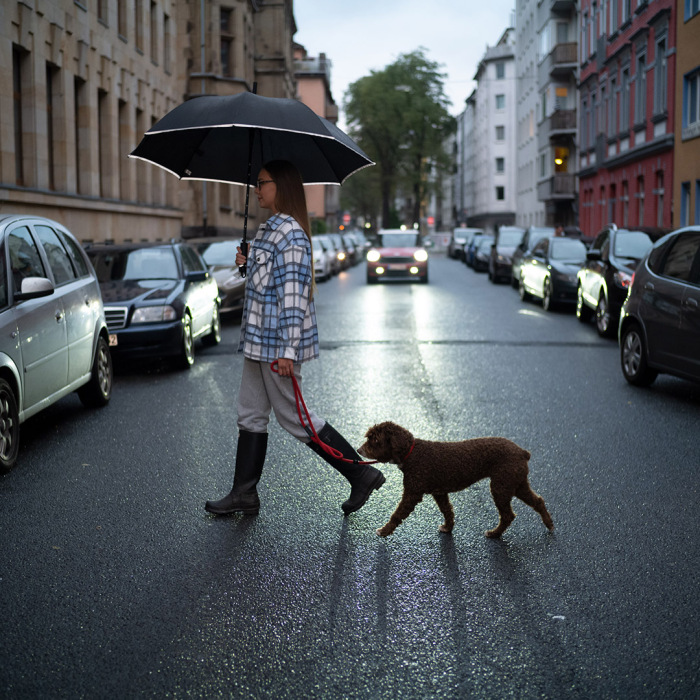 AC-Gästeschirm FARE® DoggyBrella®